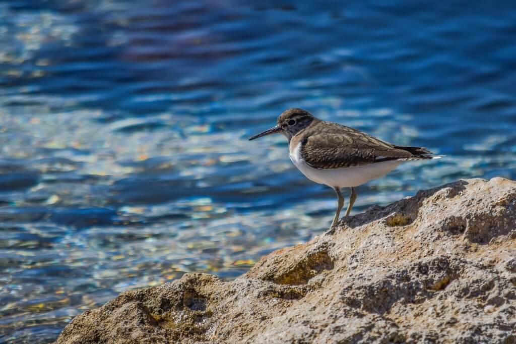 Consejos para cuidar el mar