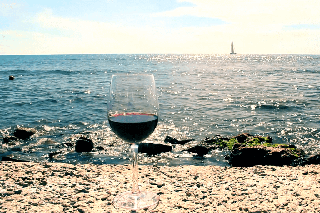 Excursión en velero y visita de viñedos y bodega de Alella