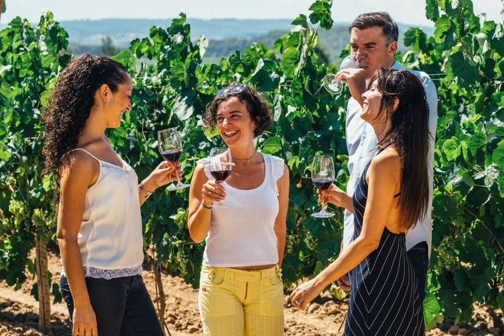 Excursión en velero y visita de viñedos y bodega de Alella