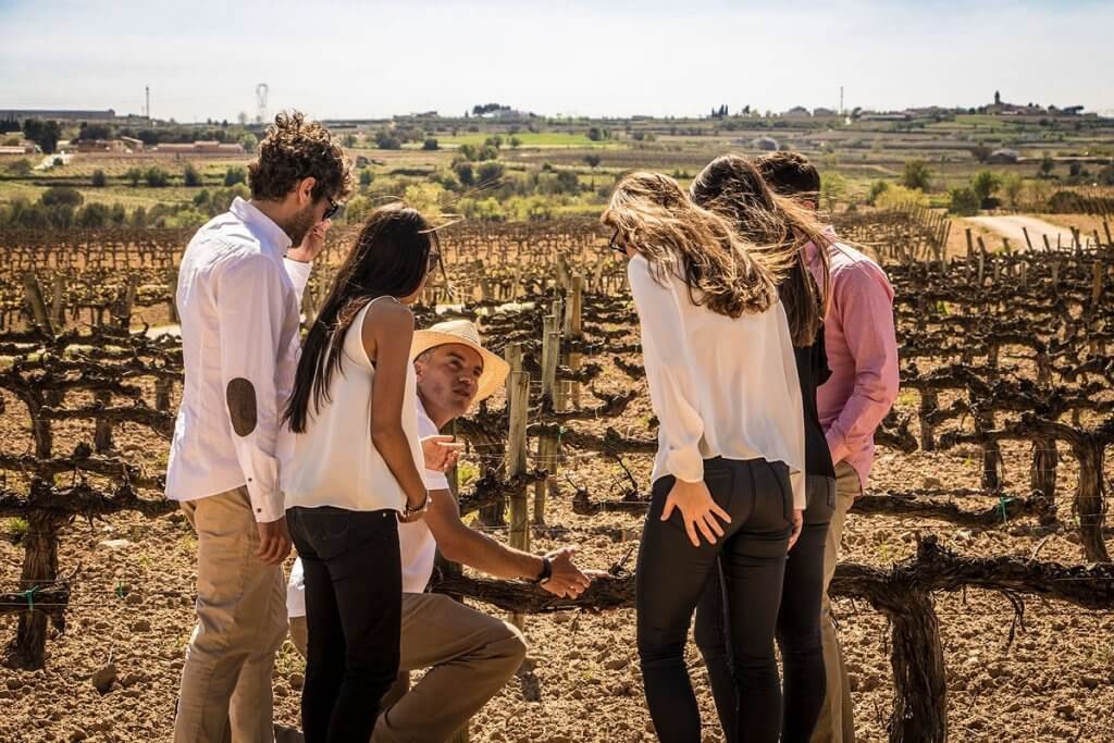 Visita de viñedos de Alella